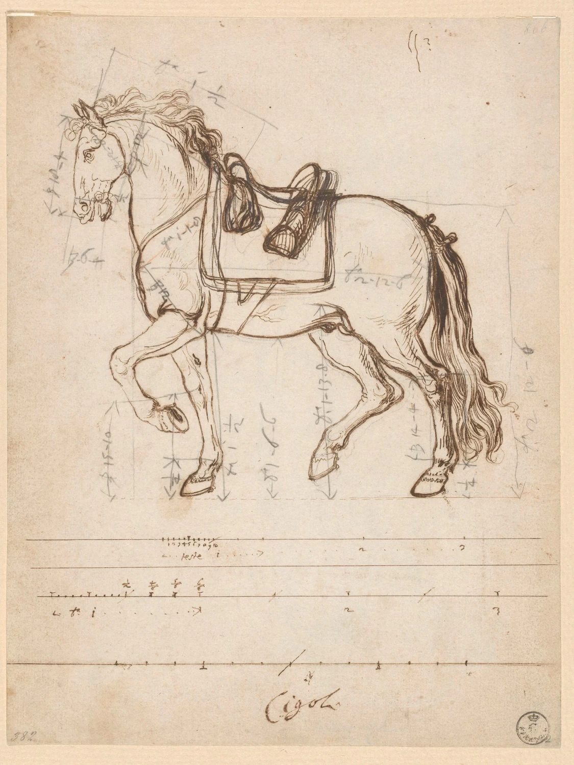 Cavallo sellato con varie numerazioni - Gallerie degli Uffizi, Firenze